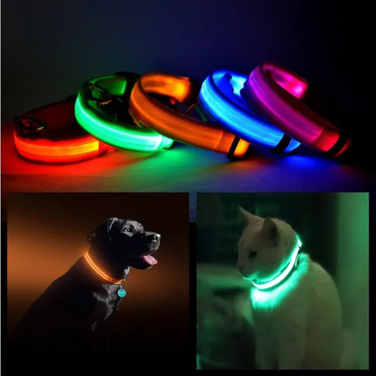 LED Safety Dog Collar