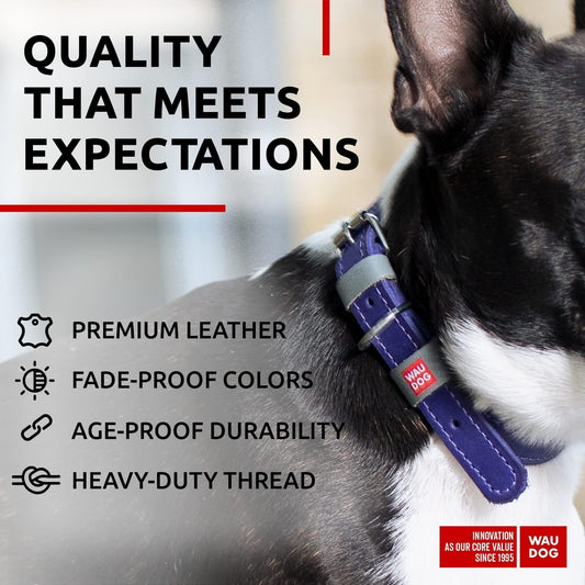 Genuine Leather Dog Collar